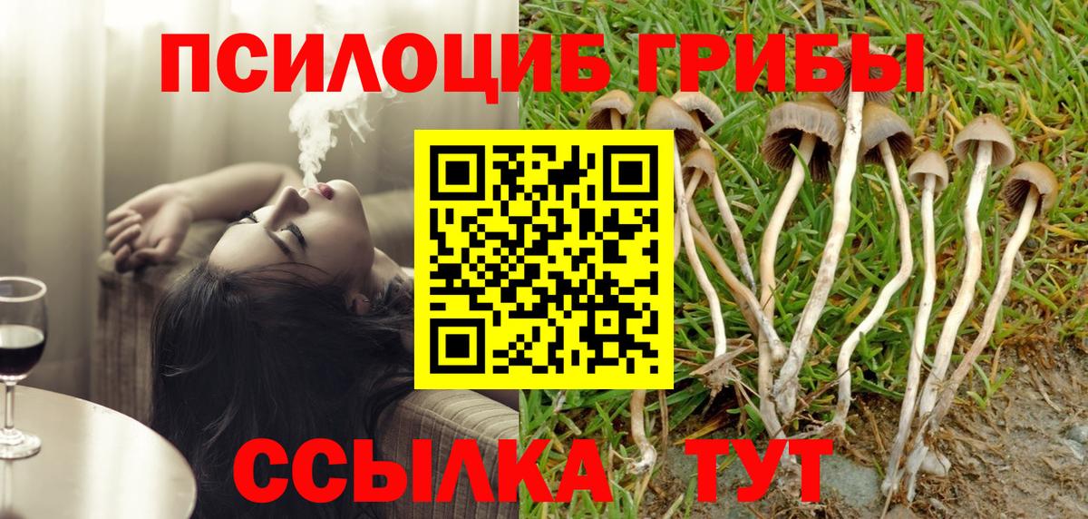Галлюциногенные грибы Psilocybine cubensis  Вход с VPN  Жигулёвск 