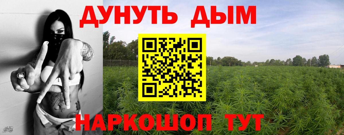 Шишки марихуана OG Kush  Канабис план  Вход с VPN  Жигулёвск  Шишки марихуана планчик  Марихуана ГИДРОПОН 